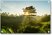 Bali Jungle - Tuinposter 90x60 - Wanddecoratie - Minimalist - Landschap