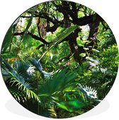 WallCircle - Wandcirkel - Muurcirkel - Prachtige patronen van bladeren en bomen in een regenwoud - Aluminium - Dibond - ⌀ 140 cm - Binnen en Buiten