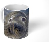 Mok - Zeehond - Sneeuw - Close up - 350 ML - Beker