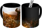 Magische Mok - Foto op Warmte Mok - Cactusprint in de VS - 350 ML
