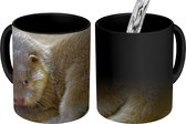 Magische Mok - Foto op Warmte Mokken - Koffiemok - Jonge otter - Magic Mok - Beker - 350 ML - Theemok