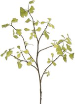 Viv! Home Luxuries Ginkgo - kunstbloem - groen - 96cm