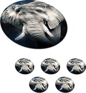 Sous-verres pour verres - Ronds - Éléphant - Fumée - Dents - 10x10 cm - Sous-verres en verre - 6 pièces