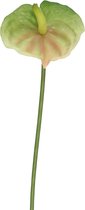 Kunstbloem - Anthurium- topkwaliteit decoratie - 2 stuks - zijden bloem - groen - 42,5 cm hoog