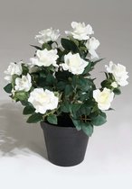 kunstplant - Rozen - topkwaliteit plant - kamerplant - wit - 34 cm hoog