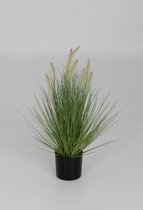 kunstplant - Kamgras - Cynosurys cistatus - topkwaliteit plant - kamerplant - Groen - 65 cm hoog
