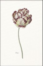 Walljar - Tulipa - Muurdecoratie - Poster met lijst
