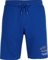 O'Neill Shorts Men STATE JOGGER Surf The Web Blue S - Surf The Web Blue 60% Cotton, 40% Recycled Polyester Shorts 3