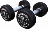 Gorilla Sports Dumbbell set 5 kg - Halterset - 2x2,5 kg - Dumbells - Gietijzer