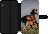 Bookcase Geschikt voor iPhone XR telefoonhoesje - Dieren - Paarden - Veulen - Met vakjes - Wallet case met magneetsluiting