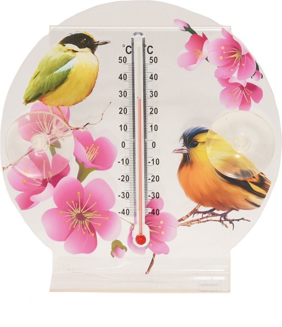 Thermomètre intérieur/extérieur/jardin avec imprimé oiseau d'environ 16 cm  -... | bol.com