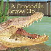 Wild Animals - A Crocodile Grows Up