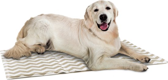hond en kat - Honden koelmatras 50 x 90 cm tegen warmte - Gel... | bol.com