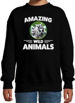 Sweater maki - zwart - kinderen - amazing wild animals - cadeau trui maki / ringstaart makis liefhebber 7-8 jaar (122/128)