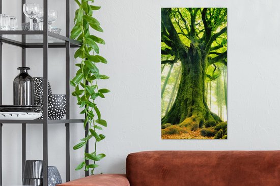 Un vieux hêtre avec des branches de couleur verte dans la toile d