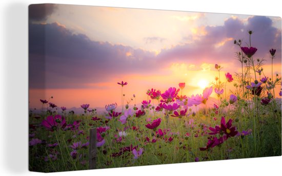Canvas Schilderij Bloemen - Roze - Zonsondergang - Natuur - Weide - Horizon - 160x80 cm - Wanddecoratie
