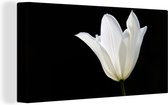 Canvas Schilderij Witte tulp - 40x20 cm - Wanddecoratie