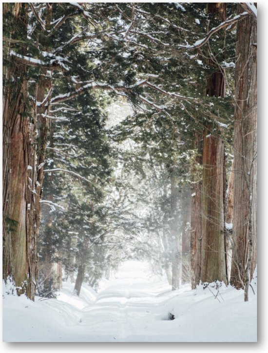 Winter Poster - Sneeuwbos bij Togakushi-heiligdom, Japan - 30x40 Dibond voor Binnen én Buiten - Besteposter - Natuur - Landschap
