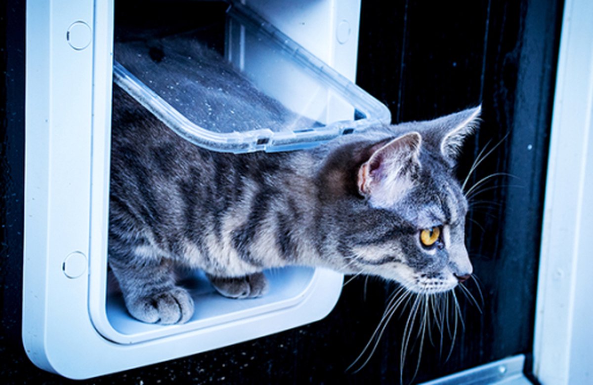 Sureflap Microchip Huisdierluik Connect - Kattenluik thumbnail 5