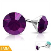 Aramat jewels ® - Ronde oorbellen paars kristal staal 3mm