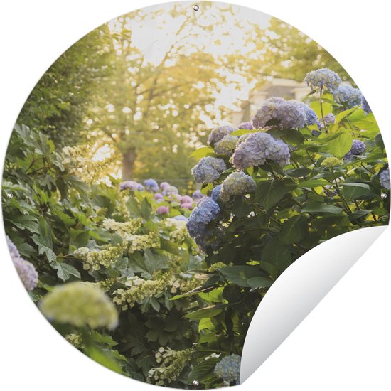 Cercle de jardin Jardin Hortensia - 60x60 cm - Affiche de jardin ronde - Extérieur
