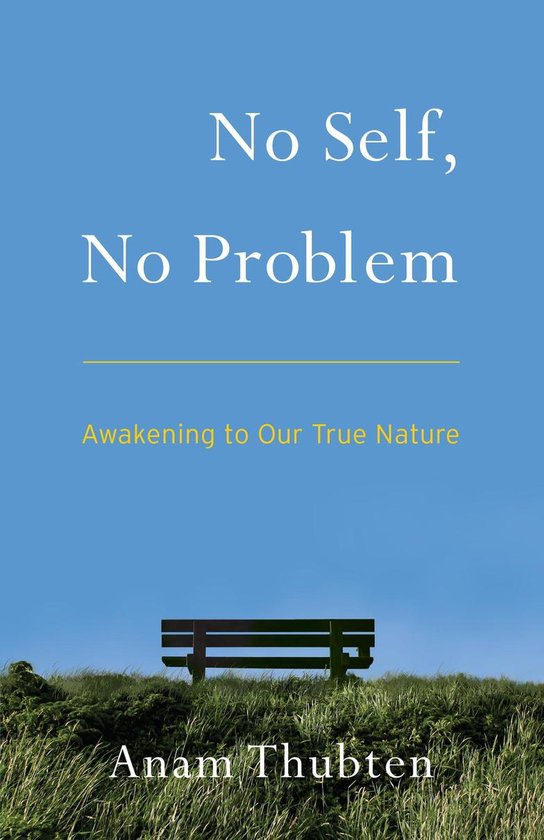 Boek 'No Self, No Problem: Awakening to Our True Nature' van Anam Thubten, met een bankje op een heuvel.