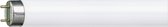 Philips TL-D Standard colours 928048003382 fluorescente lamp 18 W GU10 Koel wit