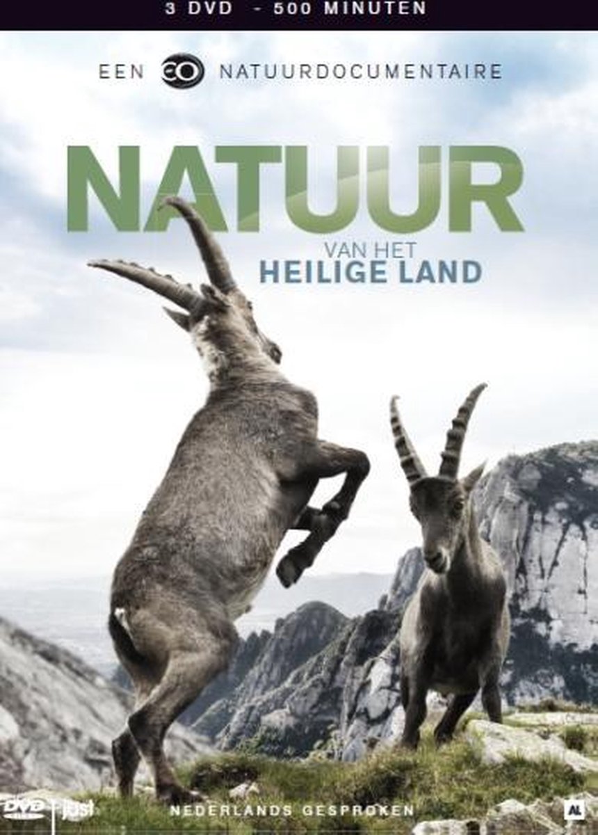 Natuur In Heilige Land