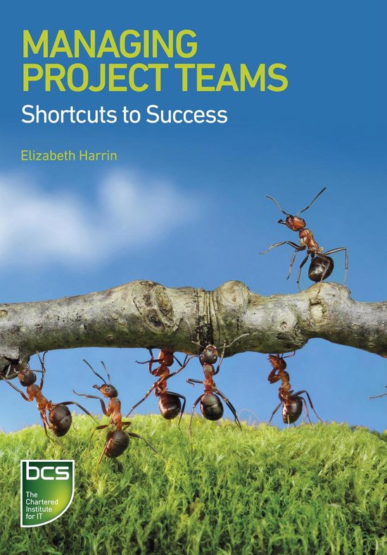Managing Project Teams - cover