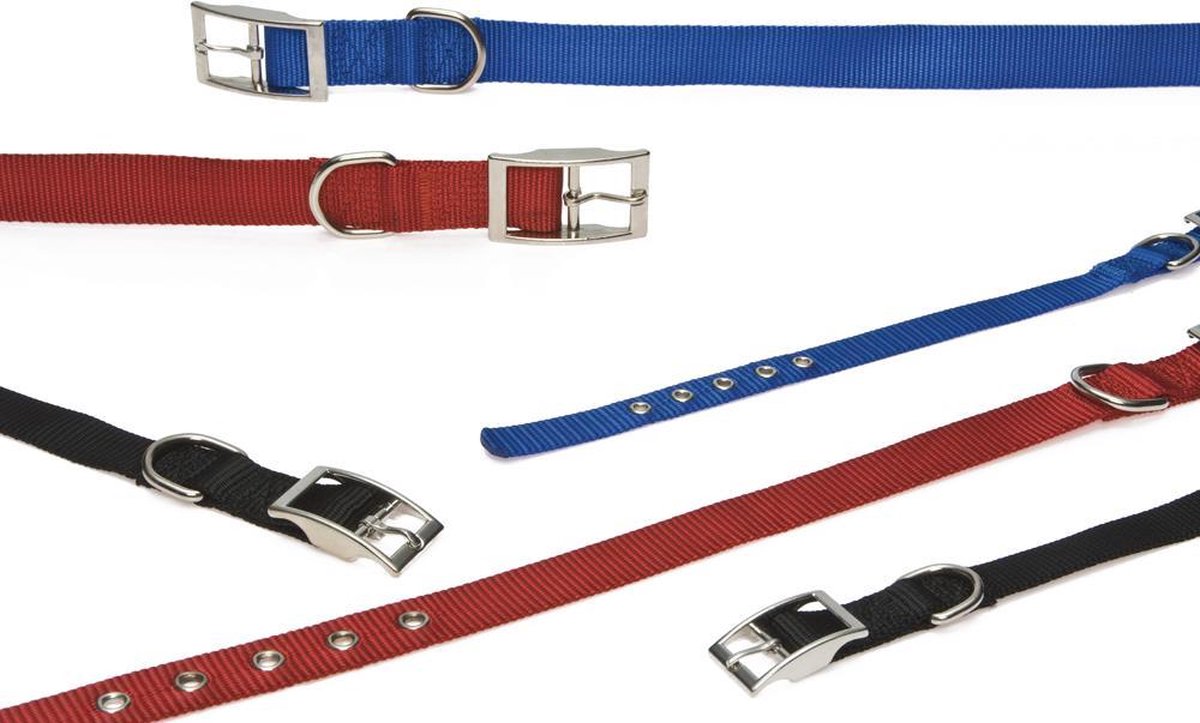 Honden Halsband Nylon Rood | Kleine honden| 37,5cm lang 1.5cm breed