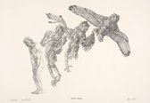 Vogelparadijs, Peter Vos - Tekenaar
