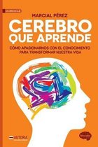Cerebro Que Aprende