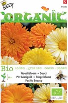 Buzzy® Organic Goudsbloem Pacific Beauty (BIO)