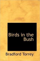 Birds in the Bush