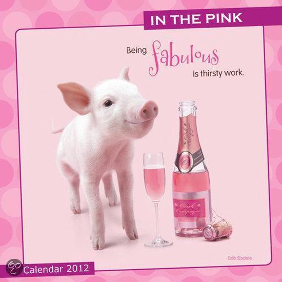 Cover van het boek 'In the Pink 2012 (30x30)'
