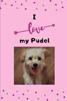 I love my Pudel