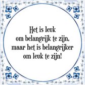 Tegeltje met Spreuk (Tegeltjeswijsheid): Het is leuk om belangrijk te zijn, maar het is belangrijker om leuk te zijn! + Kado verpakking & Plakhanger