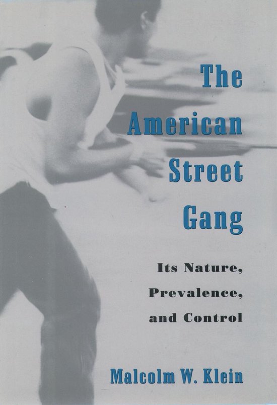 Studies in Crime and Public Policy - The American Street Gan ... - cover