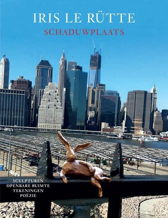 Boek 'Schaduwplaats' met een bronzen beeld van een konijn op een hek, met de skyline van New York op de achtergrond.