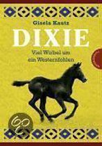 Dixie - Viel Wirbel um ein Westernfohlen