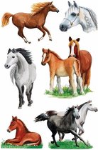 Paarden stickers 3 vellen - dieren stickers