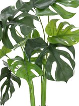 Europalms Monstera deliciosa - Kunstplant - Gatenplant - 90cm - Zwarte Pot - 2 St