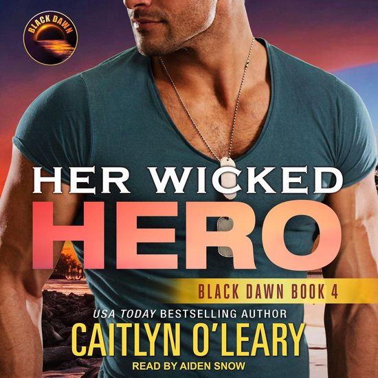 Her Wicked Hero - cover