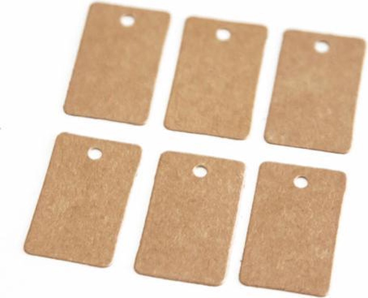 100 Stuks Hart Cadeaulabels Kraftpapier, Cadeaulabels, Trouwlabels met Touwtje, Fleslabels voor Postzegels Honingpotten Jam Kleedjes Prijslabels Naamplaatjes
