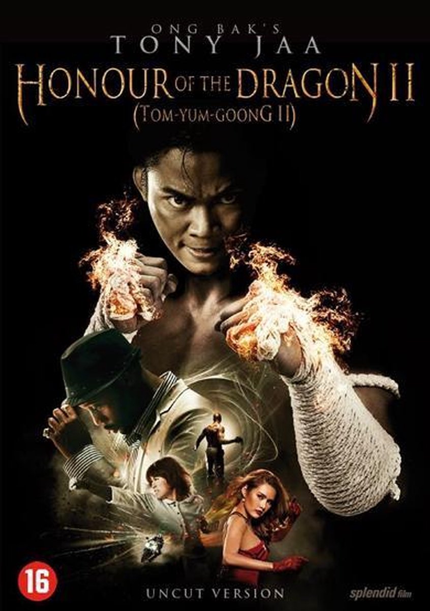 Bol Com Honour Of The Dragon 2 Tyg 2 Dvd Movieplay Muziek