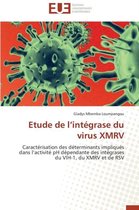 Etude de L Int�grase Du Virus Xmrv