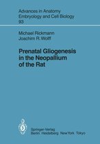Advances in Anatomy, Embryology and Cell Biology 93 - Prenatal Gliogenesis in the Neopallium of the Rat