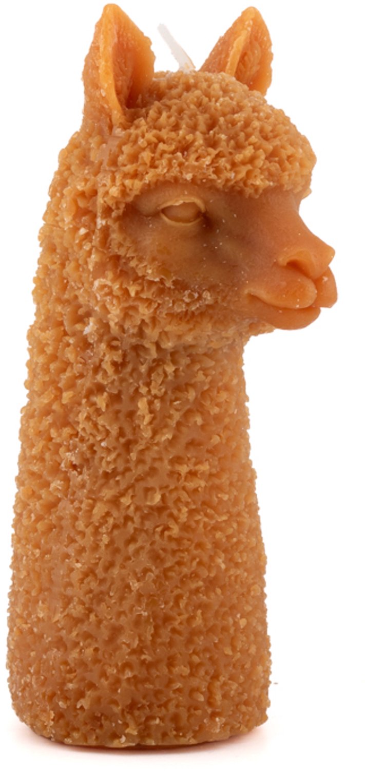 Kaars alpaca