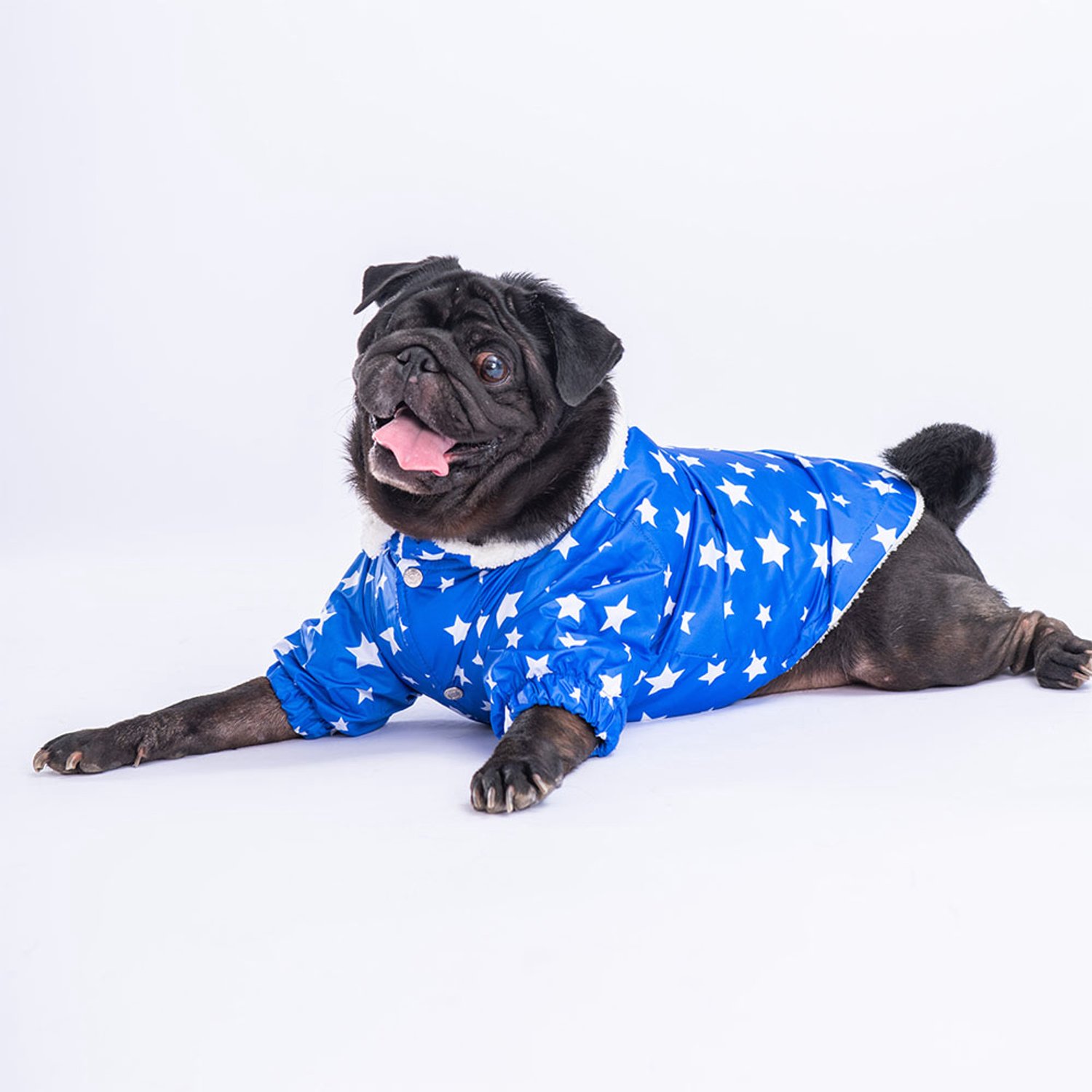 Pawstar Stars - Hondenregenjas - Blauw - XL