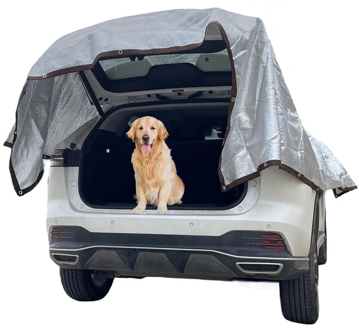 Hagelbeschermingsnet - Schaduwnet van geperforeerd aluminium - Met UV-bescherming - Voor auto, SUV, caravan, hond en camping - 6 x 4 m